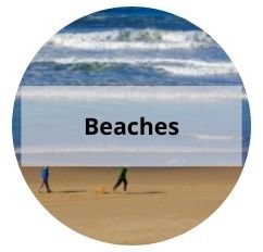 Northeast Florida Beaches: Atlantic, Neptune, Ponte Vedra, Vilano, St. Augustine, Crescent